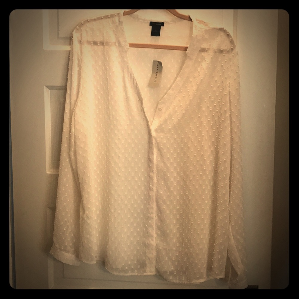 Silky ivory dotted button down shirt
